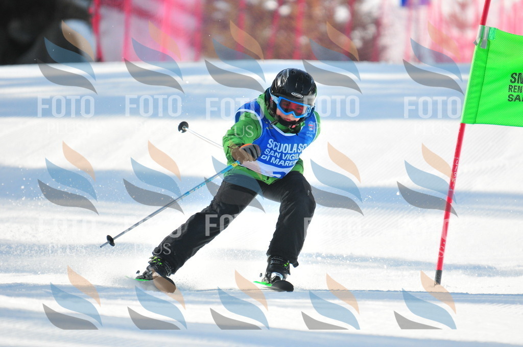 B8782 | holidayphoto