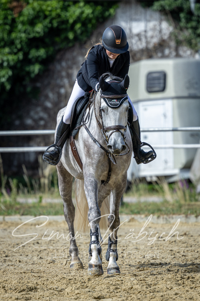 20260704-_3LI7125 | Tierfotografie Pferde, Hunde, Katzen, Haustiere.
Turnierfotografie Reitturniere, Reiten, Springreiten, Dressur in Hanau, dem Main-Kinzig-Kreis und dem Rhein-Main- Gebiet um Frankfurt