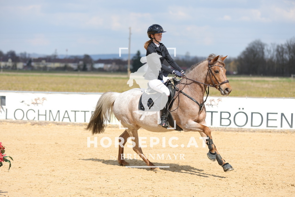 0P6A7748 | Willkommen bei Brunnmayr - Design & Fotografie – Ihrem Spezialisten für Reitturniere und Pferdeveranstaltungen in Oberösterreich, Salzburg und Bayern! Seit über 17 Jahren sind wir leidenschaftlich dabei.