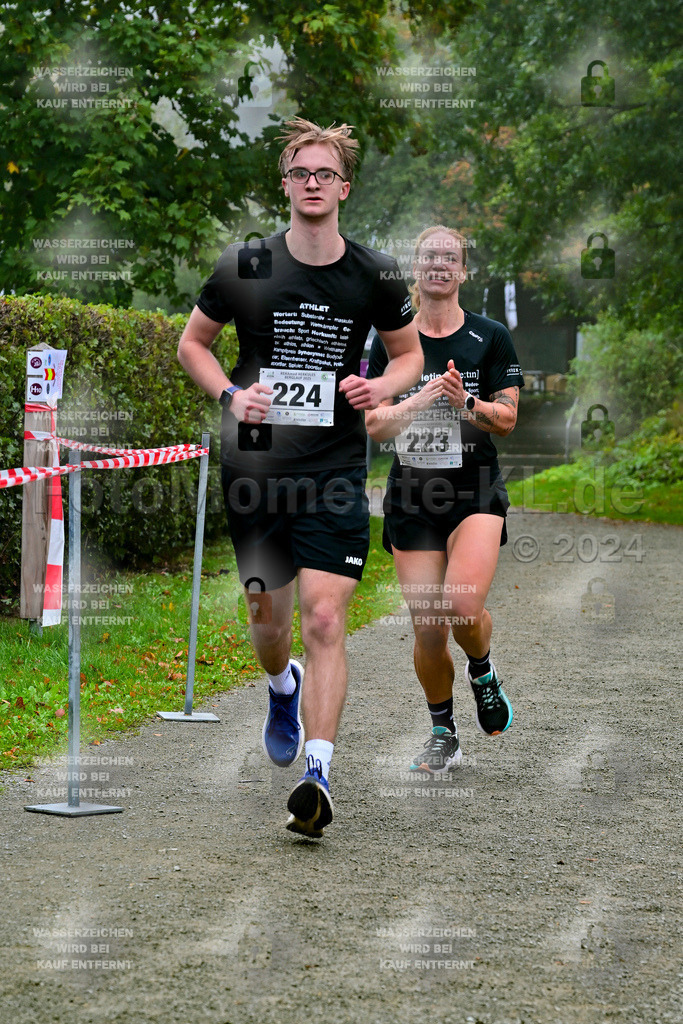 Z8N_2411 | la-psv - Realisiert mit Pictrs.com