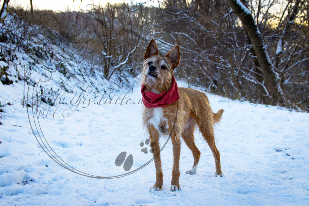 IMG_1290-1 max | only.this.little.world - Realisiert mit Pictrs.com