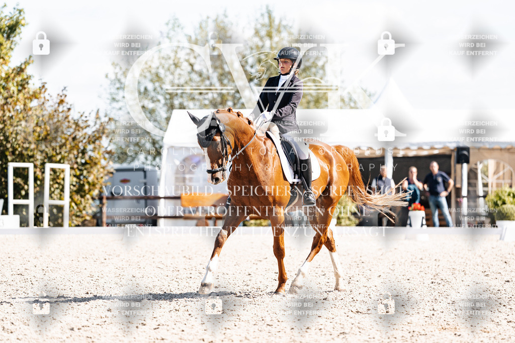 CK902804 | Turnierfotografie Pferdefotografie Trier Rheinland-Pfalz Pferdesport Reitsport Tierfotografie Sportfotografie Pferdevideo Pferdevideografie Equestrianvideography equestrianphotography  - Realisiert mit Pictrs.com