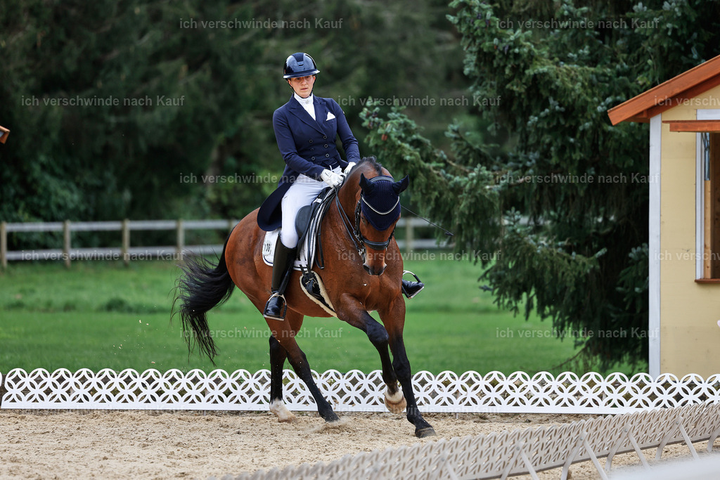 11-036-Dressur S___-StoibPH-1435 | working equitationturnier fotograf videograf stoibphotography marixx film working equitation deutschland reitsport turnierfotografie eventfotografie equestrian events