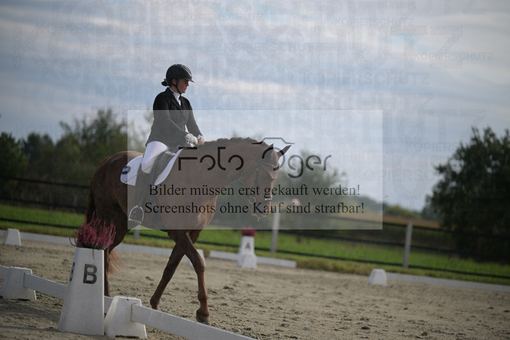 DOS_2600 | Entdecke hochwertige Reitturnierfotos von Foto Oger. Professionell, emotional und authentisch – jetzt Lieblingsmomente im Shop bestellen.Deutschlandweite Turnierfotografie. - Realisiert mit Pictrs.com