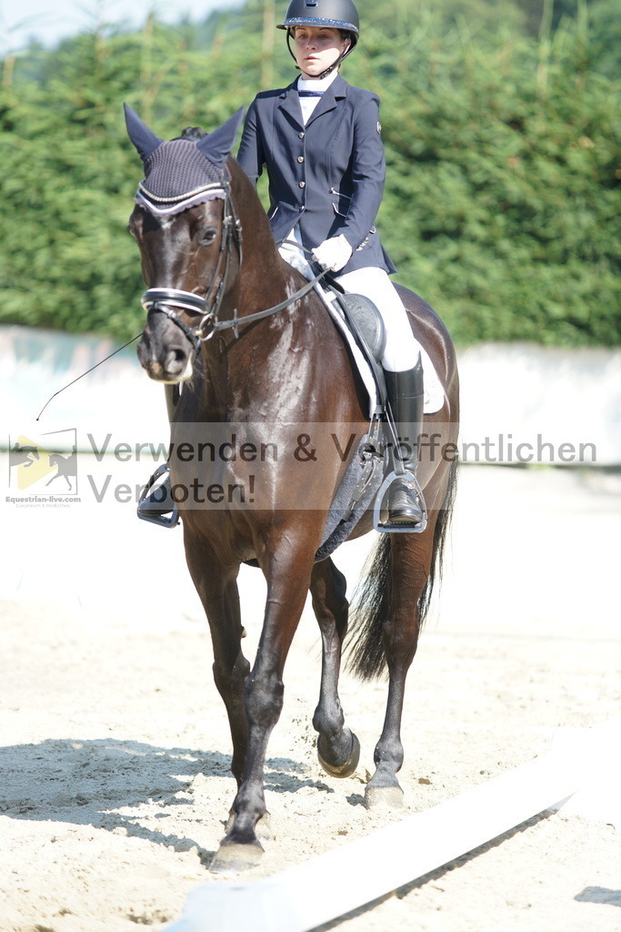 DSC02953 | equestrian-live-com