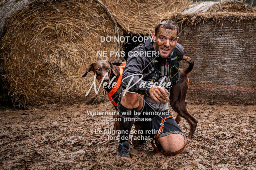 nelerasche_Hunsrück_So09-11_117 | nelerasche