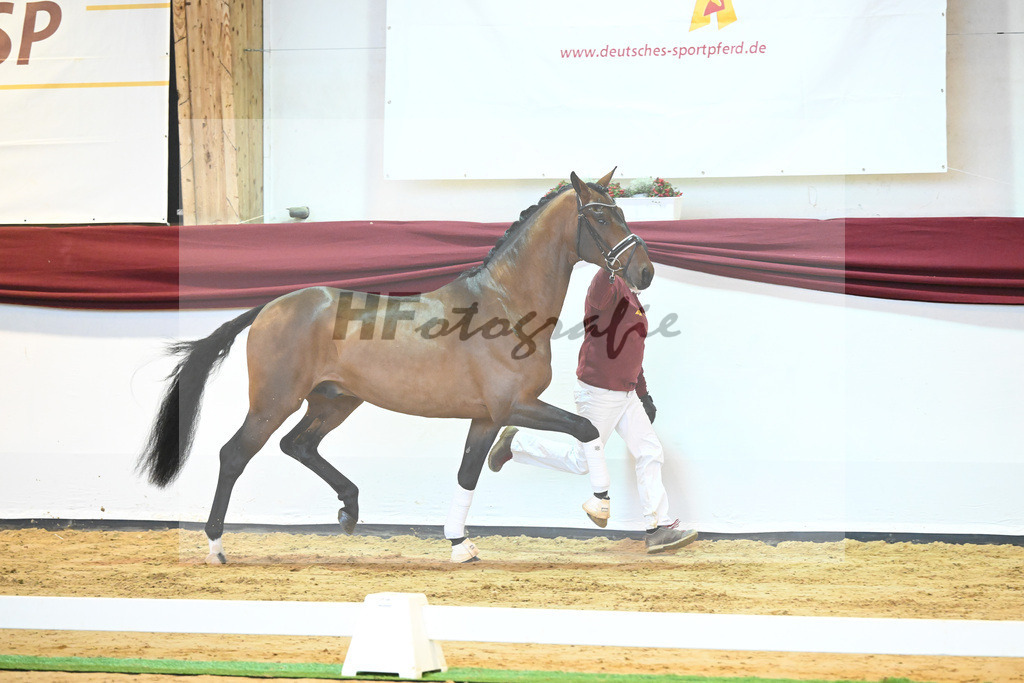 Kat-Nr. 64 v. Vitalis_Bock_66222152 | hf-fotografie - Realisiert mit Pictrs.com