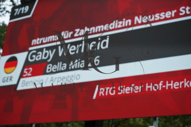 VAN03543 | Pferdefotografie in Köln und Umgebung – emotionale Pferdeshootings, Turnierfotografie und besondere Momente zwischen Pferd und Mensch. - Realisiert mit Pictrs.com