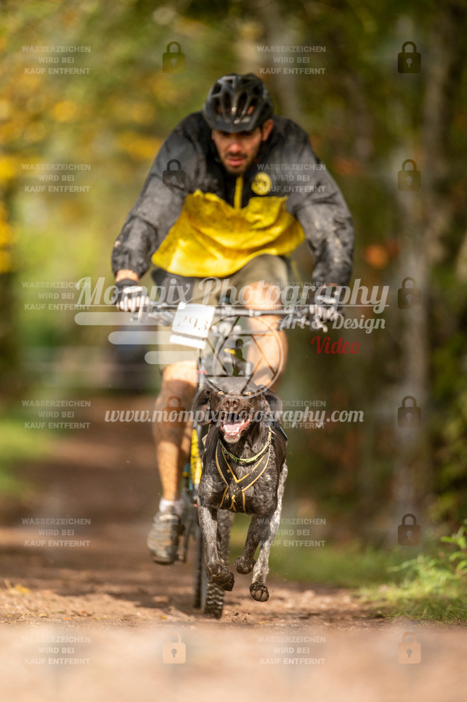 TSB_2023_E4_Bike-59 | PayLife