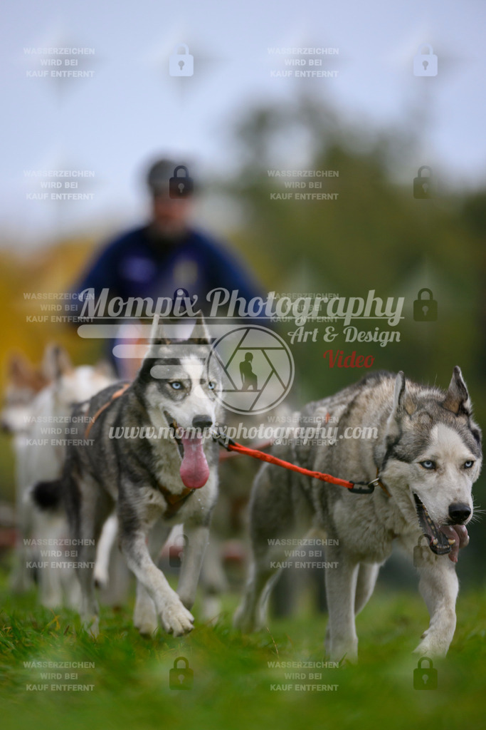 MompixPhotography_CDLBDB2025_DI_Kart-39 | PayLife