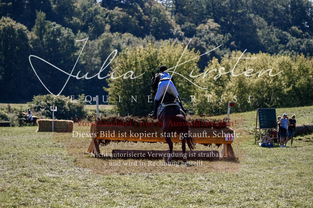 DSC_1872 | Pferde- und Turnierfotografie in Westsachsen. Pferdeportraits, Auftragszeichnungen und intuitive Kunst.