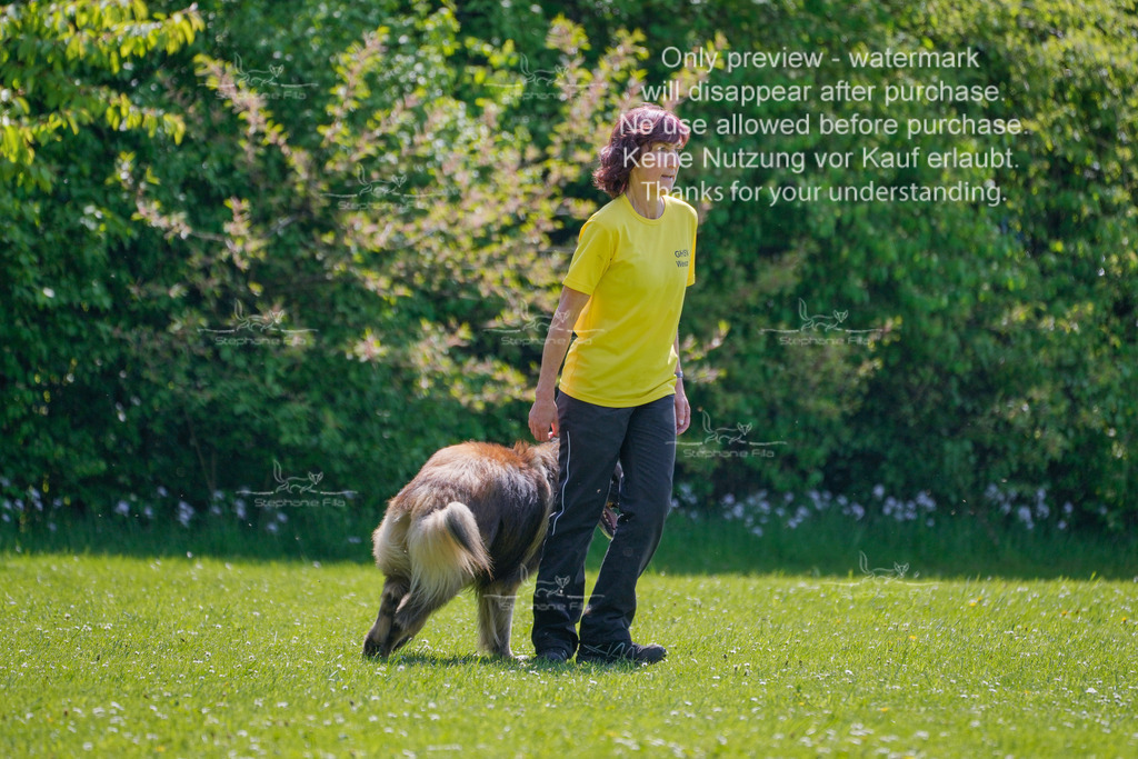 Sa_Gehorsam_02-82 | stephaniefillaphotographie - Realisiert mit Pictrs.com