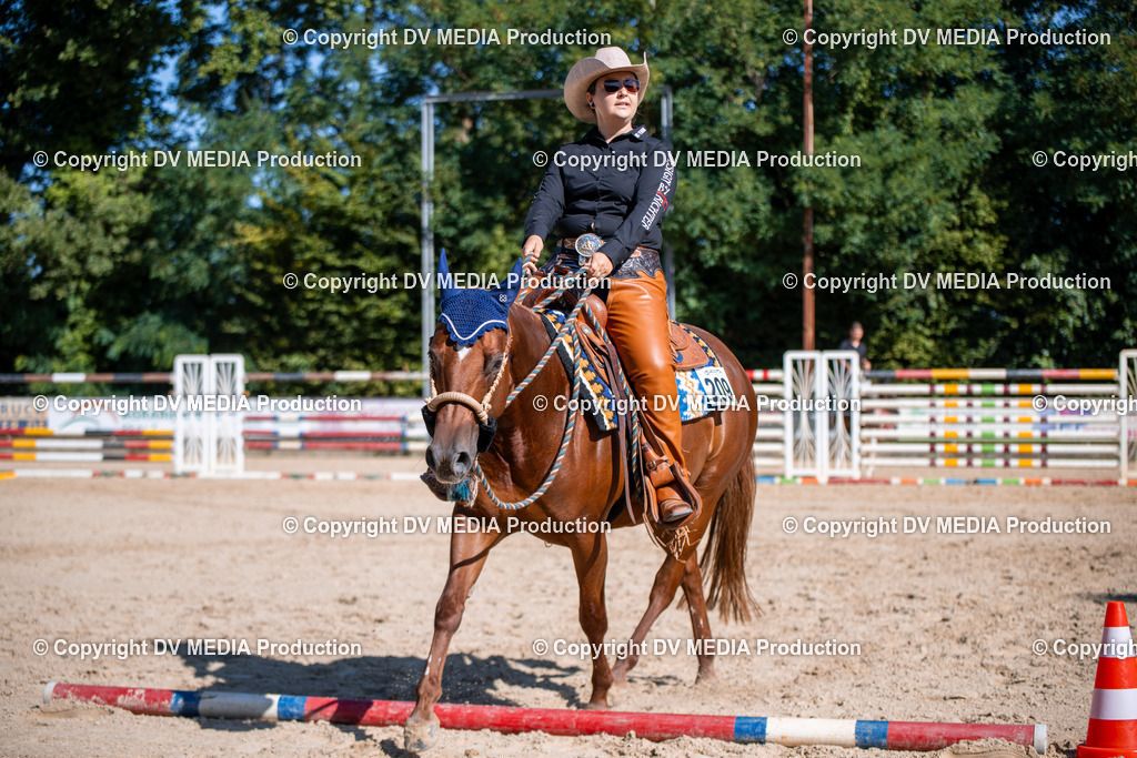 ZS1_0816 | dv-media-shop - Realisiert mit Pictrs.com