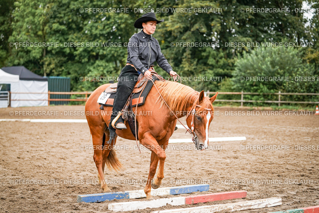 DSC03586 | Pferdegrafie