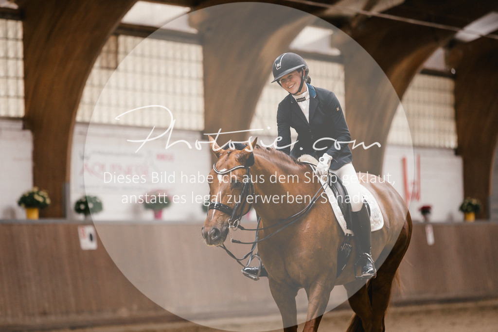 3I6A9091 | Stimmungsvolle Portraits und Reitsportfotografie im Ruhrgebiet und im Münsterland.

Pferdefotografie, Hundefotografie, Tierfotografie, Reportagen, Portraits von Tier und Mensch, Turnierfotografie in Bochum, Recklinghausen, Marl, Haltern am See, Dülmen.. - Realisiert mit Pictrs.com