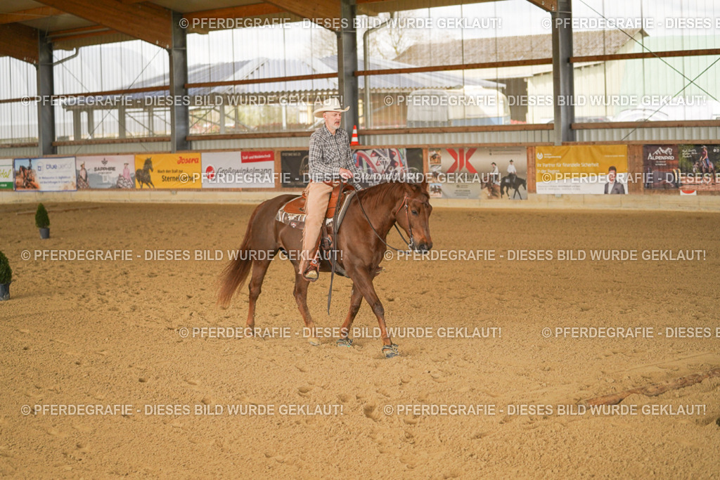 DSC02248 | Pferdegrafie