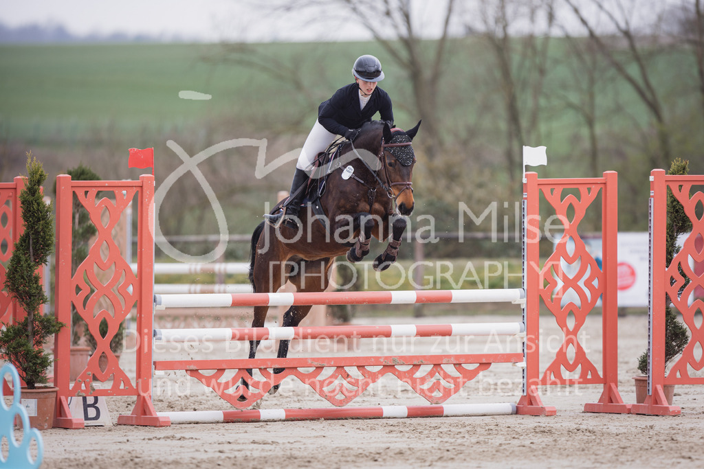 230408_Frühlingsfest_Stil-A2_LK3-4-736 | Deine schönsten Turniermomente als professionelle Fotos! Entdecke hochwertige Pferdesport-Fotografie im Online-Shop. Jetzt Fotos finden & bestellen!