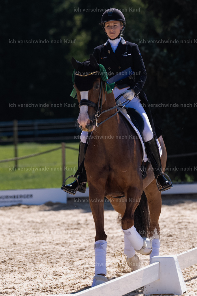 FHC2026_P12_Siegerehrung_13179 | working equitationturnier fotograf videograf stoibphotography marixx film working equitation deutschland reitsport turnierfotografie eventfotografie equestrian events
