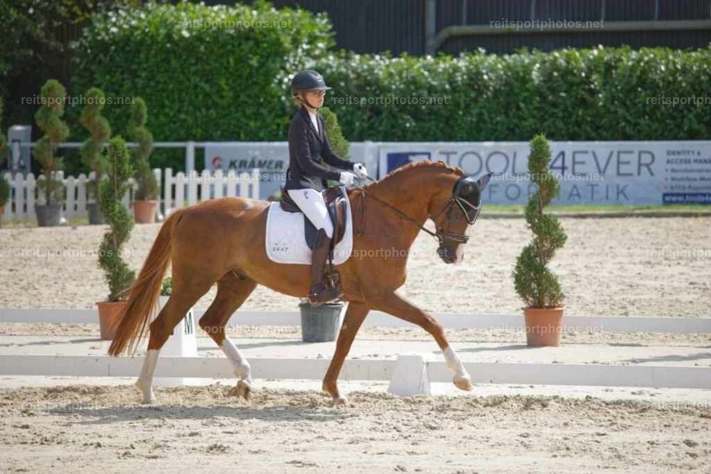 JHE_3285 | JoYa Fotografie - Realisiert mit Pictrs.com