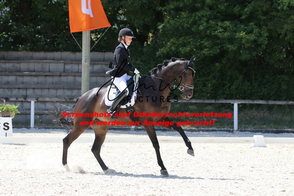 IMG_5087 | lmwpictures - Realisiert mit Pictrs.com