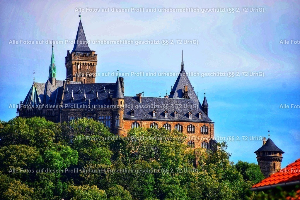 DSC_0035 (1)_2-01-01 | krollfotografie - Realisiert mit Pictrs.com