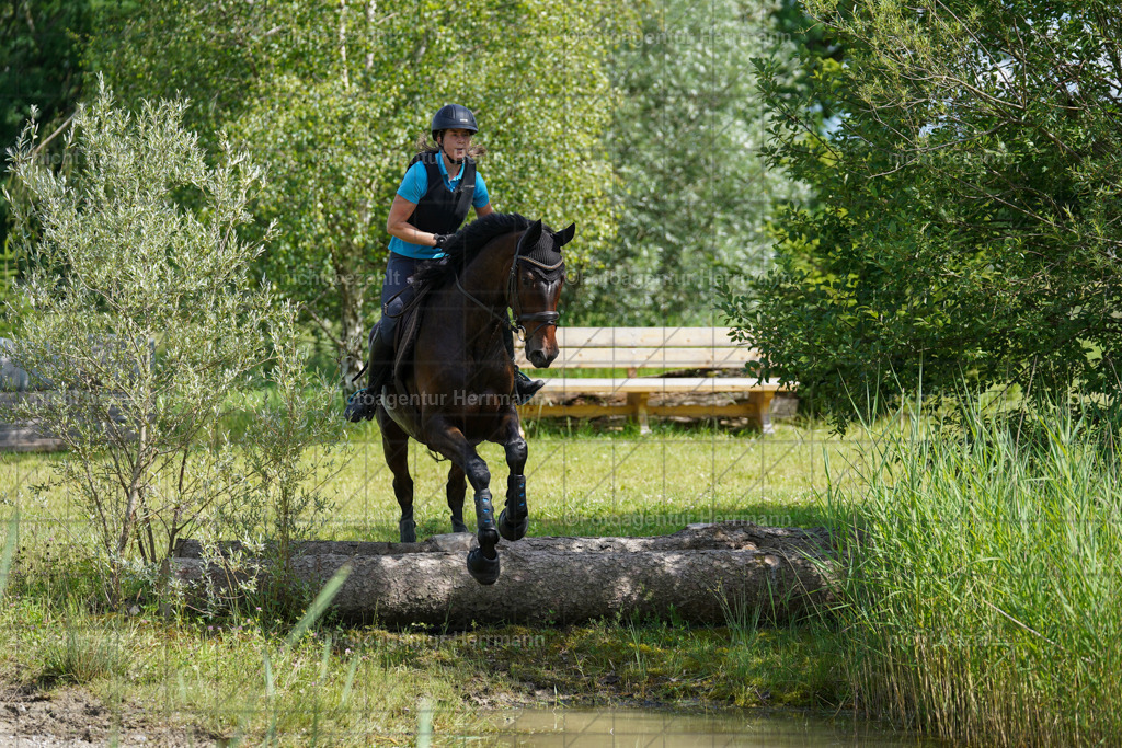 20240622-FAH07865 | Turnierfotografen Bayern, Reitsportbilder aus dem Geländekurs mit Felix Etzel auf dem Gut Waitzacker 2024