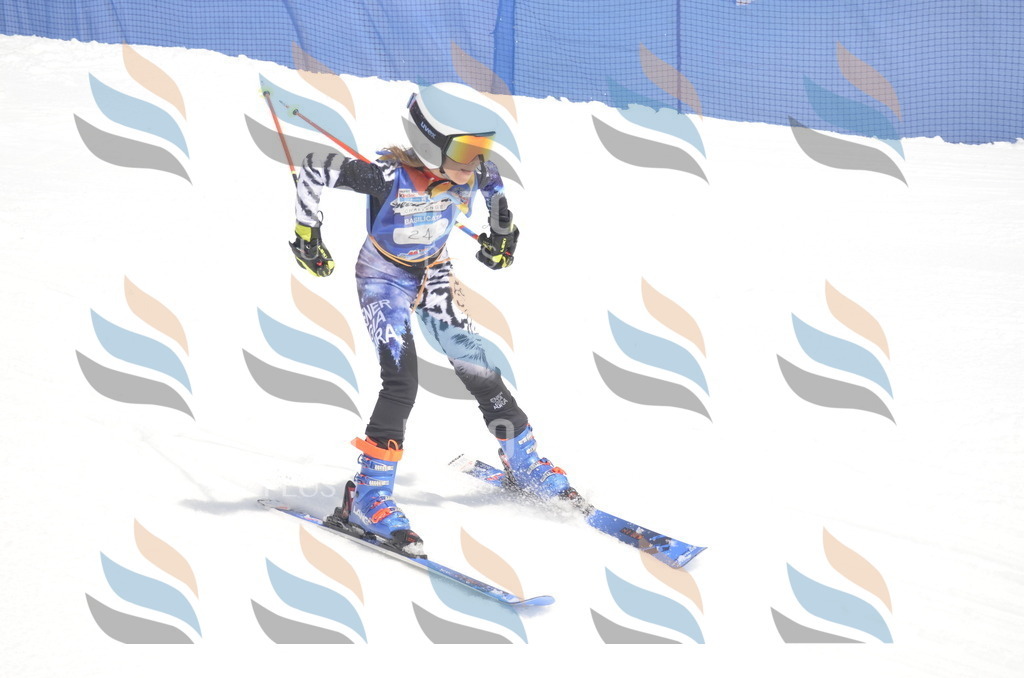 _ELE9063 | holidayphoto