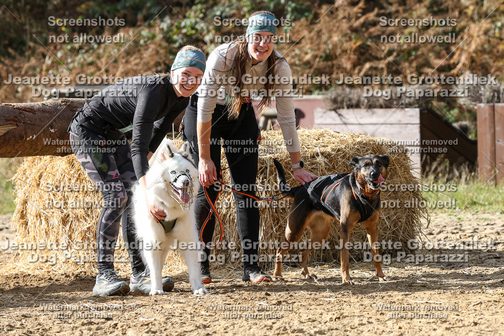 Dog Paparazzi - Strongdog 10-25-5670 | Dog Paparazzi Jeanette Grottendiek Fotografie & Videografie - Realisiert mit Pictrs.com