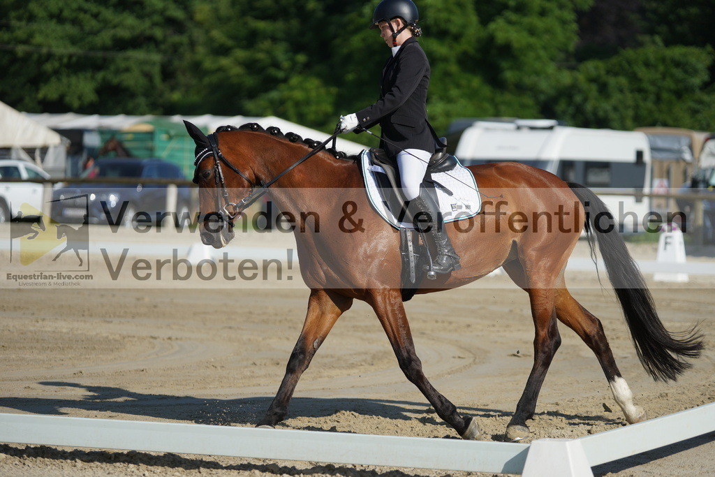 DSC04034 | equestrian-live-com