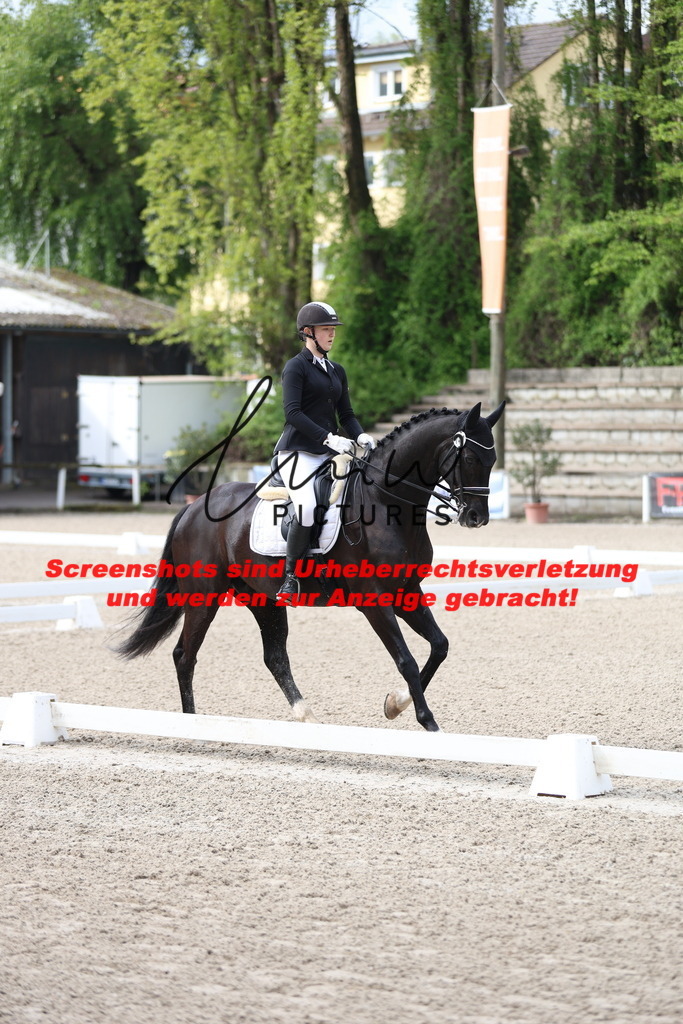 A40A0315 | lmwpictures - Realisiert mit Pictrs.com