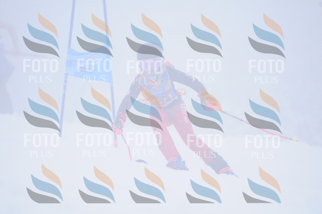 C2017 | holidayphoto