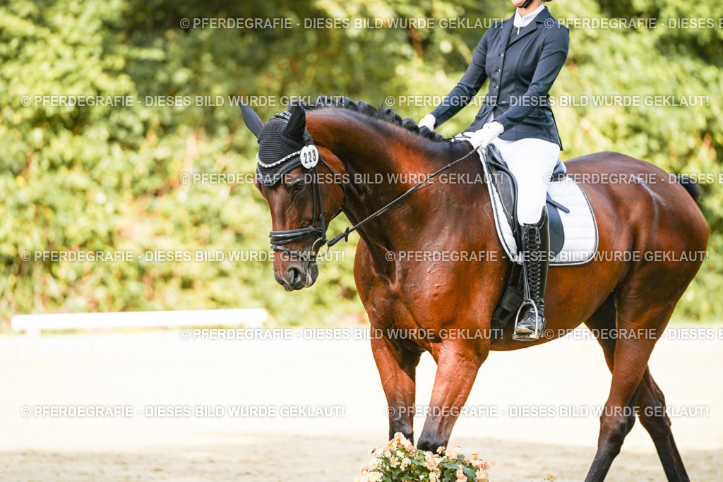 DSC02292 | Pferdegrafie