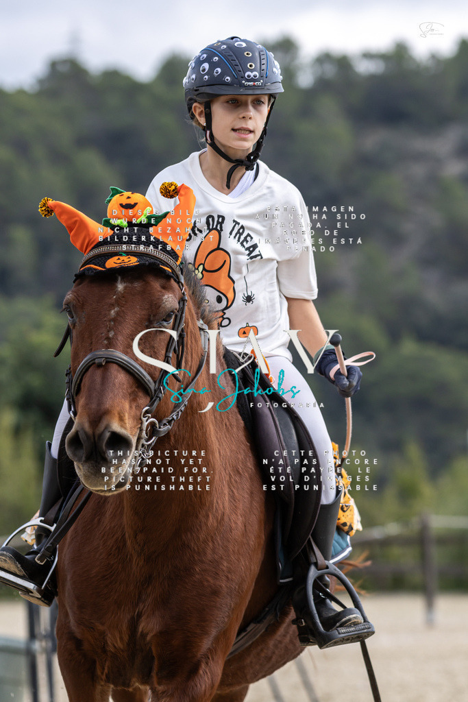 IMG_2328 | s-jay-photography - Realisiert mit Pictrs.com