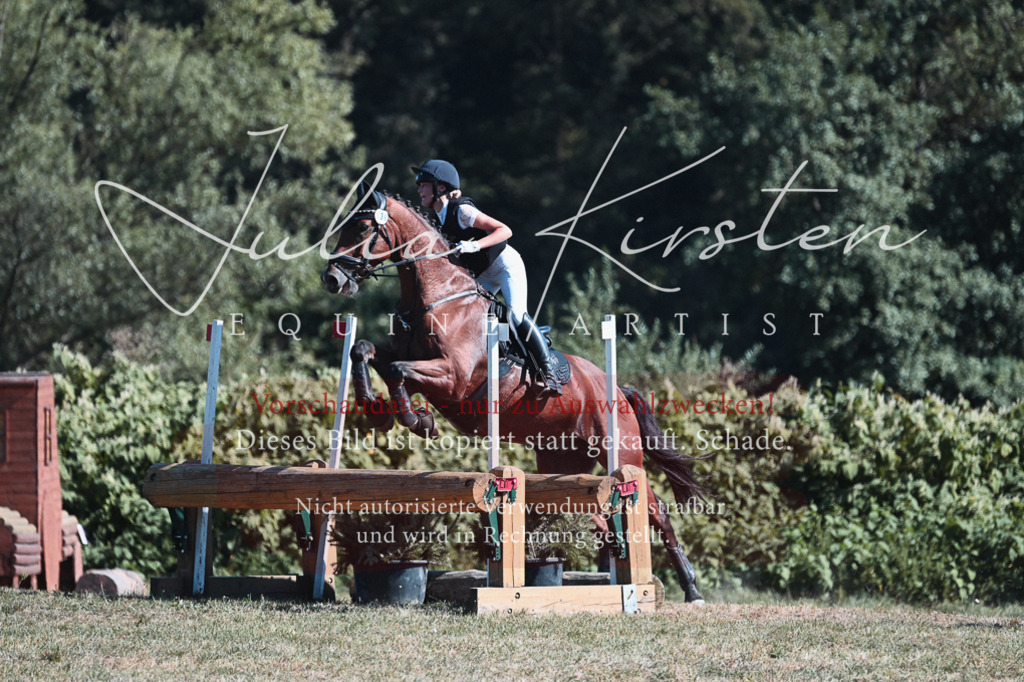 DSC_8593 | Pferde- und Turnierfotografie in Westsachsen. Pferdeportraits, Auftragszeichnungen und intuitive Kunst.