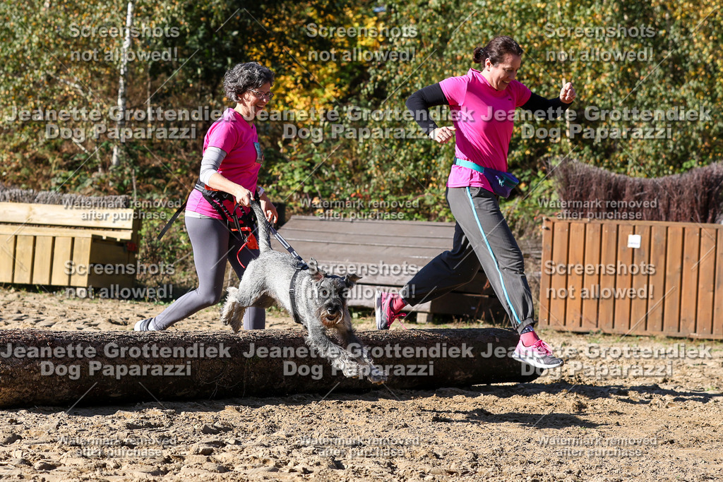 Dog Paparazzi - Strongdog 10-25-2869 | Dog Paparazzi Jeanette Grottendiek Fotografie & Videografie - Realisiert mit Pictrs.com