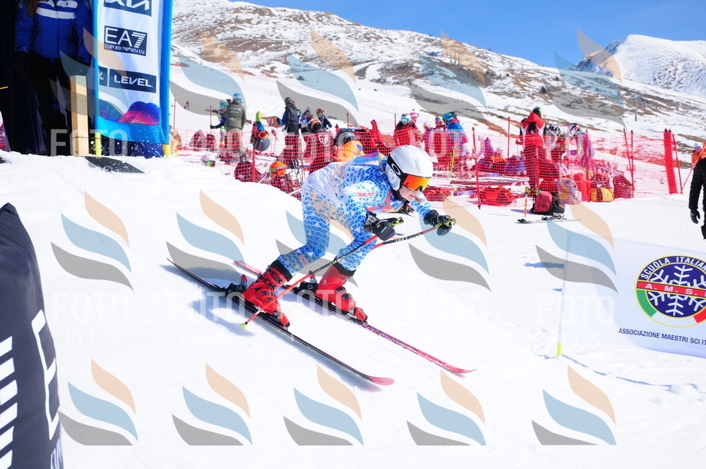 DSC_3959 | holidayphoto