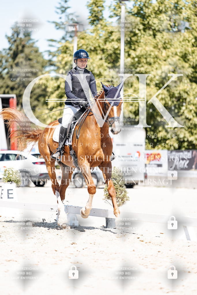CK900073 | Turnierfotografie Pferdefotografie Trier Rheinland-Pfalz Pferdesport Reitsport Tierfotografie Sportfotografie Pferdevideo Pferdevideografie Equestrianvideography equestrianphotography  - Realisiert mit Pictrs.com