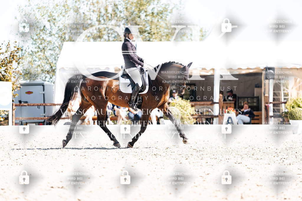 CK909721 | Turnierfotografie Pferdefotografie Trier Rheinland-Pfalz Pferdesport Reitsport Tierfotografie Sportfotografie Pferdevideo Pferdevideografie Equestrianvideography equestrianphotography  - Realisiert mit Pictrs.com