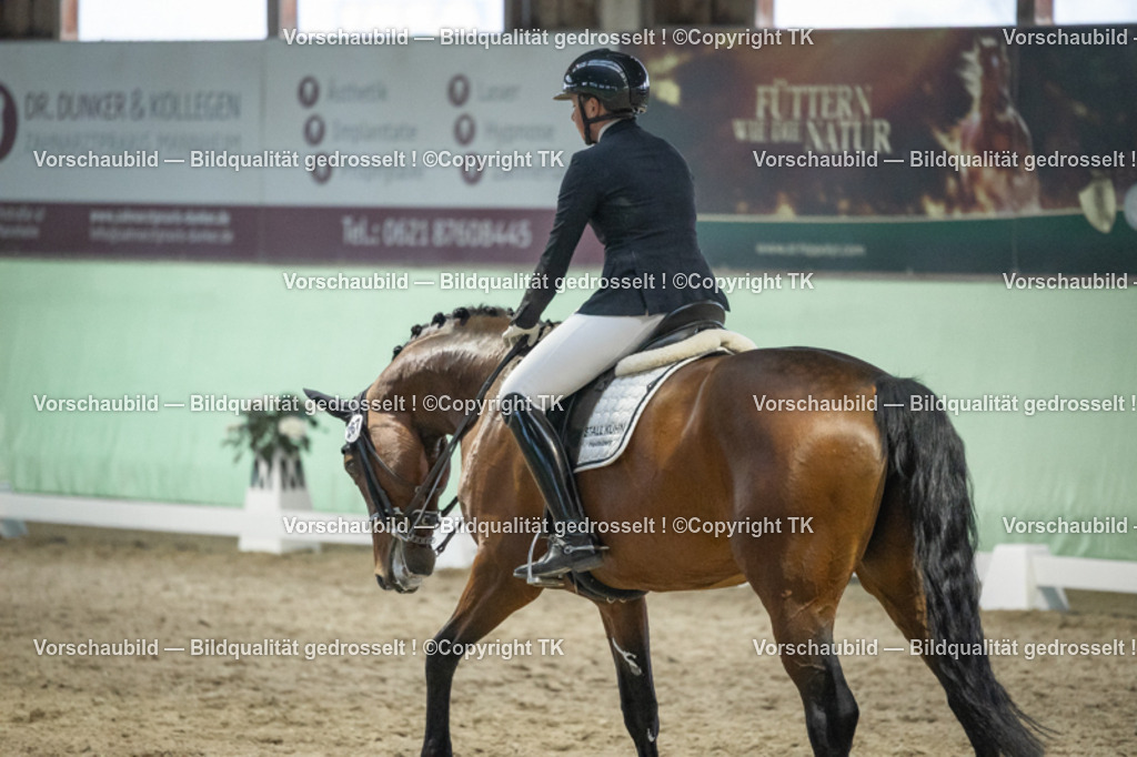 _D5A3720 | Emotionale Pferde- & People-Fotografie rund um Heidelberg, Leimen & Umgebung. Natürliche Fotos von Pferd, Mensch & Familie. Jetzt Termin sichern!