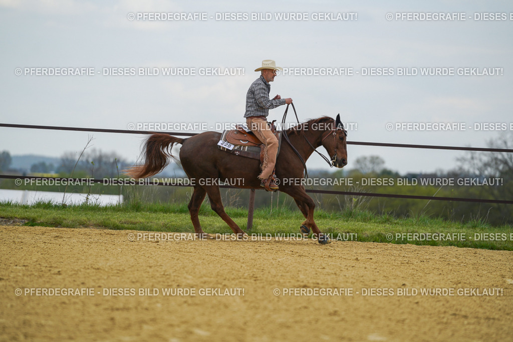 DSC06843 | Pferdegrafie