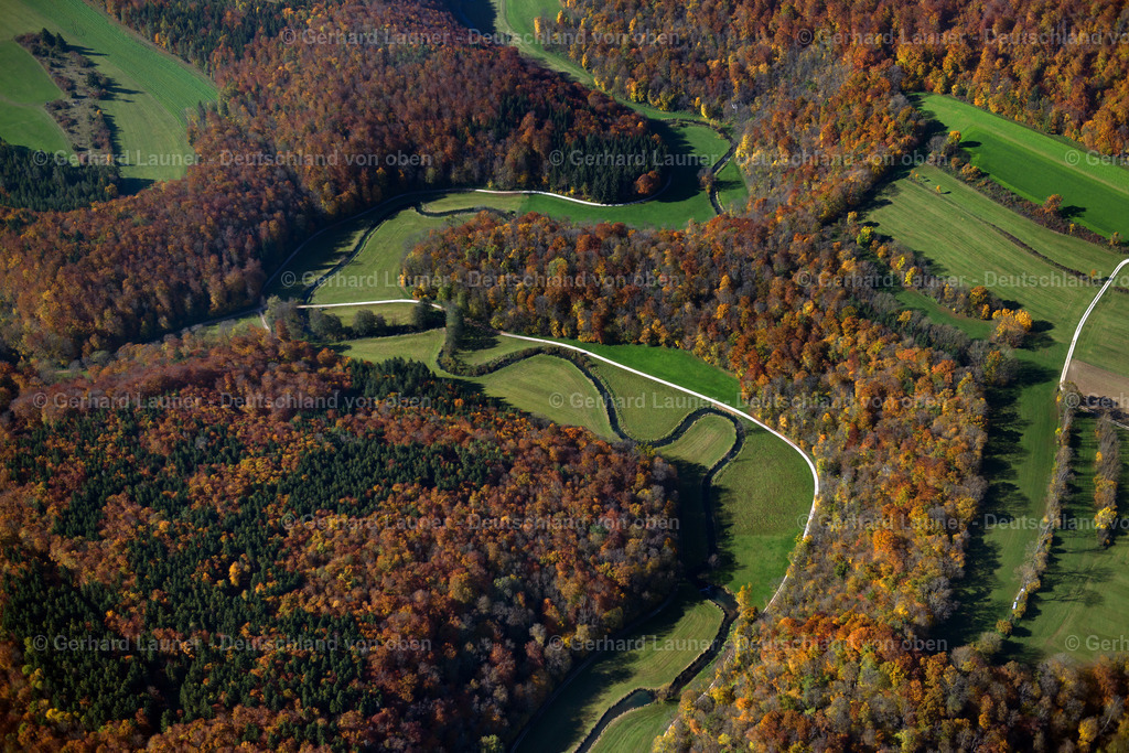 3704836 | EHINGEN (DONAU) 16.10.2017 Forstgebiete in einem Waldgebiet  in Ehingen (Donau) im Bundesland Baden-Württemberg, Deutschland // Forest areas in  in Ehingen (Donau) in the state Baden-Wuerttemberg, Germany Foto: Gerhard Launer