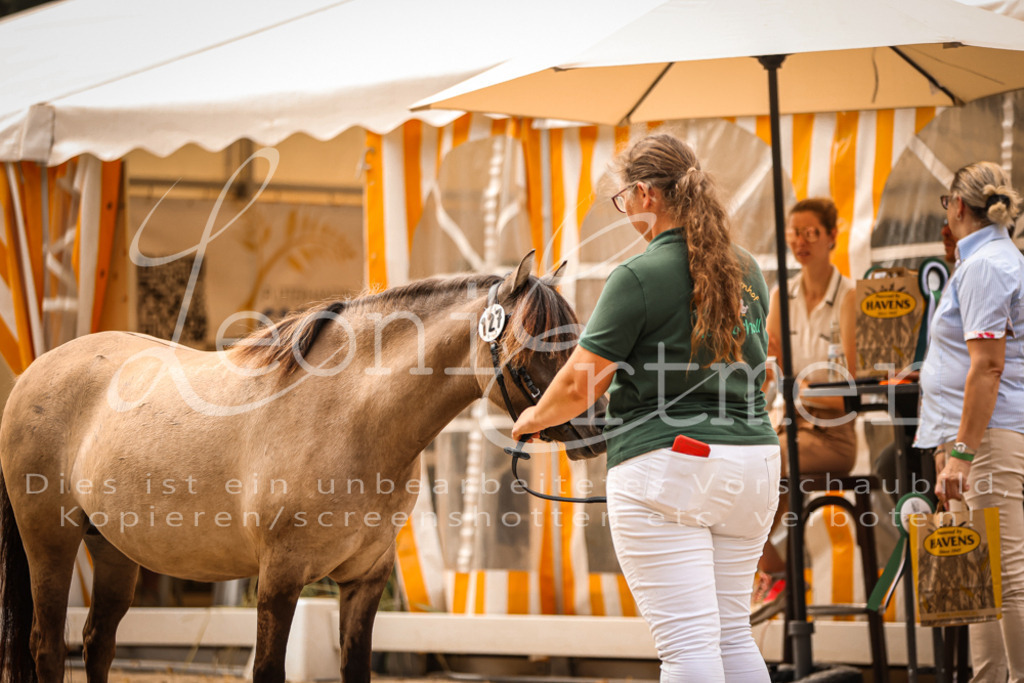 03.So00119 | Leoni Ertmer Photography - Realisiert mit Pictrs.com