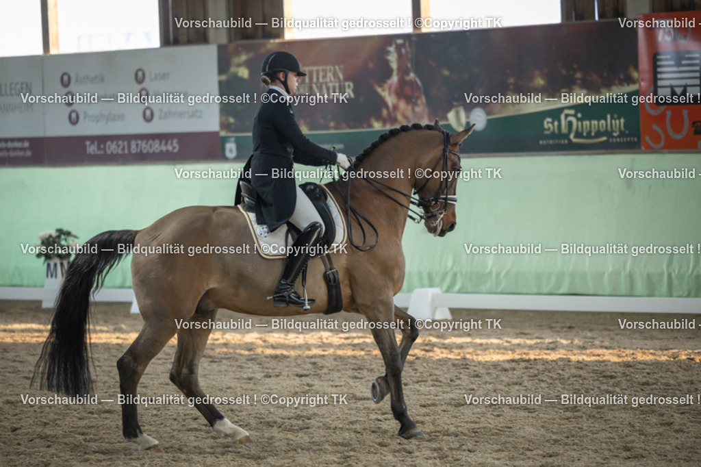 _D5A0904 | Emotionale Pferde- & People-Fotografie rund um Heidelberg, Leimen & Umgebung. Natürliche Fotos von Pferd, Mensch & Familie. Jetzt Termin sichern!