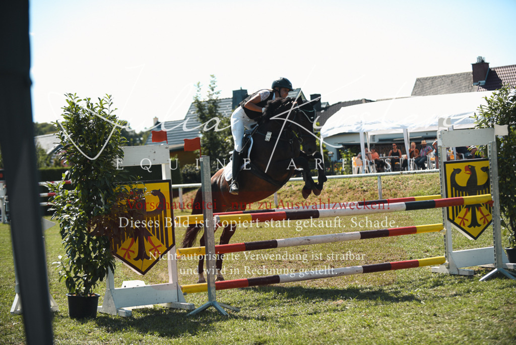DSC_6978 | Pferde- und Turnierfotografie in Westsachsen. Pferdeportraits, Auftragszeichnungen und intuitive Kunst.