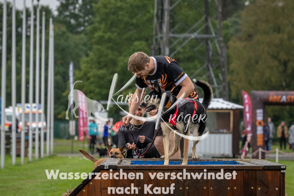 1123-94561 | kk-dogfotos