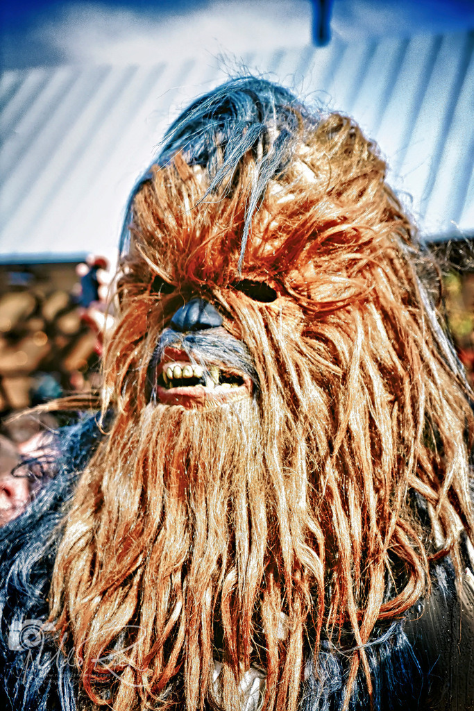 noris_force_con8 | Entdecken Sie Fotografie aus Leidenschaft: Auftragsfotografie, HD-Fotos, Geschenkartikel aus Ihren Bildern und vieles mehr. Beauftragen Sie uns für besondere Momente!