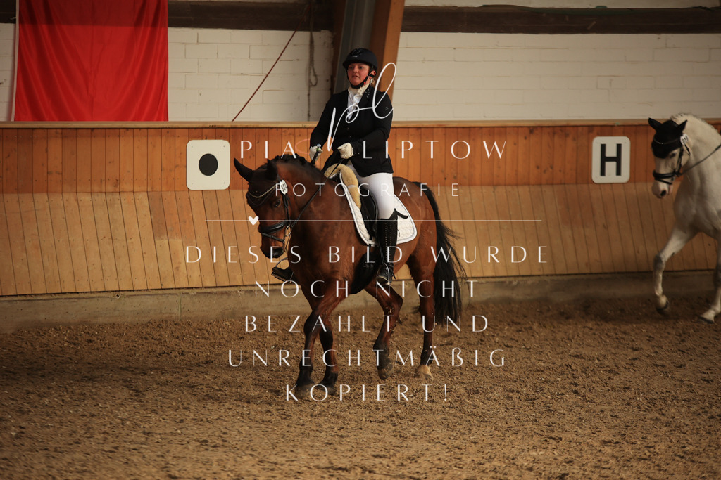 IMGT4490 | pl-fotografie