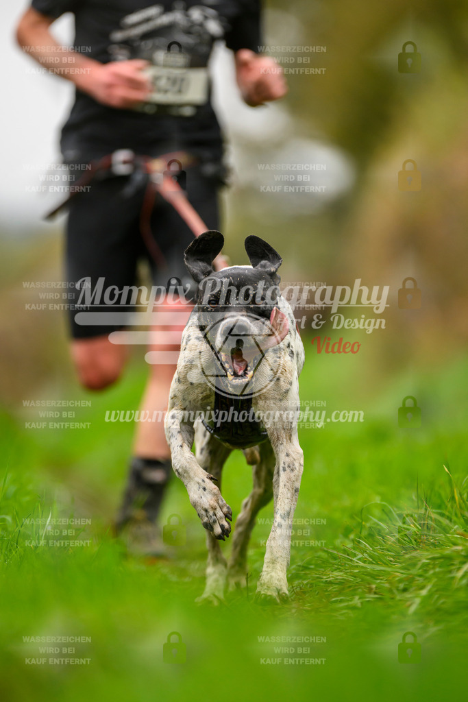 MompixPhotography_20TSB_E8_Run-152 | PayLife
