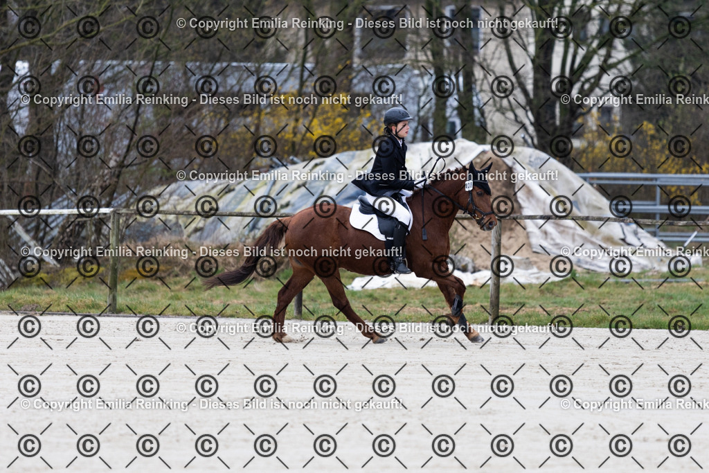 CL5A3924 | Emilia Reinking Fotografie - Realisiert mit Pictrs.com