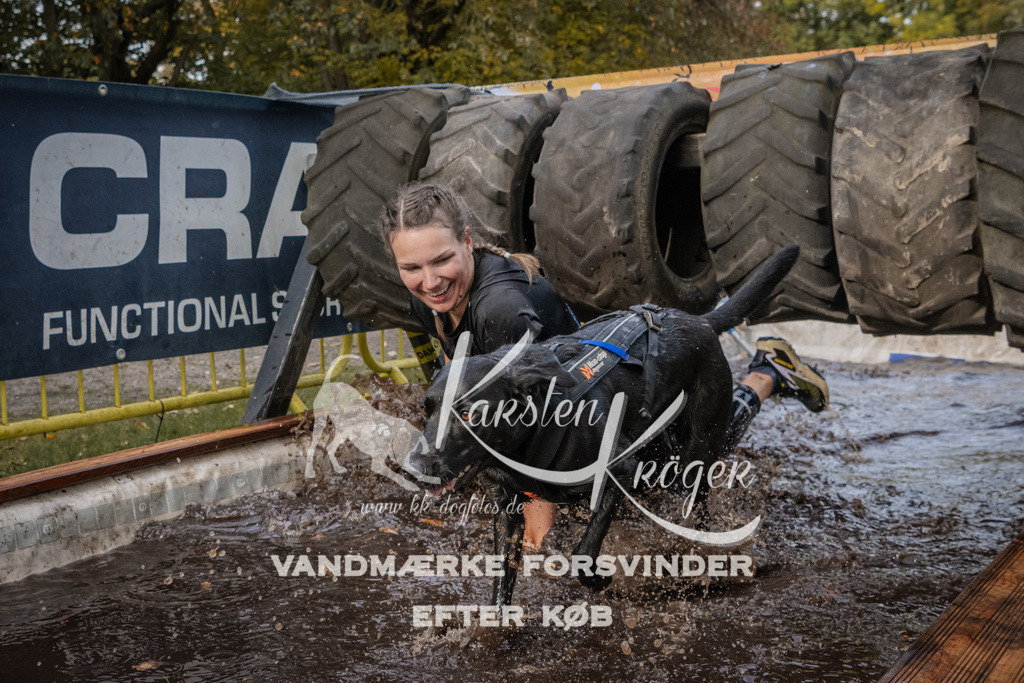 1440_ZZ94747 | kk-dogfotos